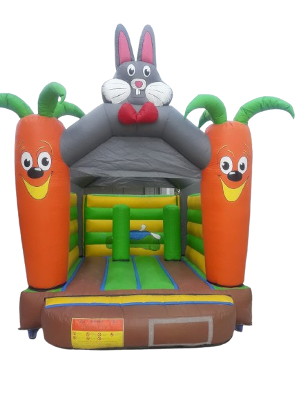 For Rent - Inflatable J-149